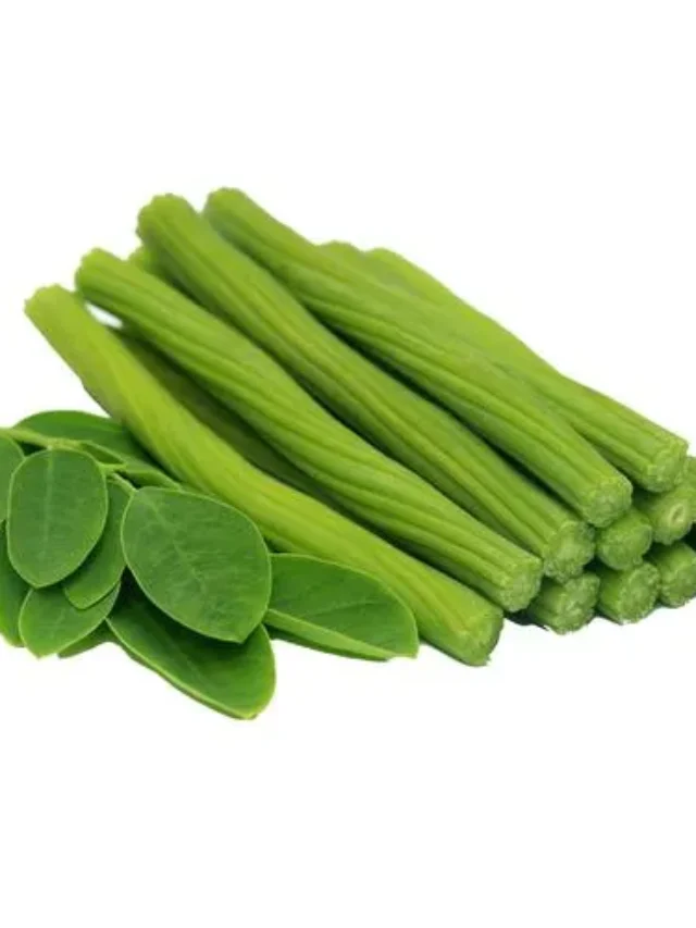 10000108_21-fresho-drumstickmoringa