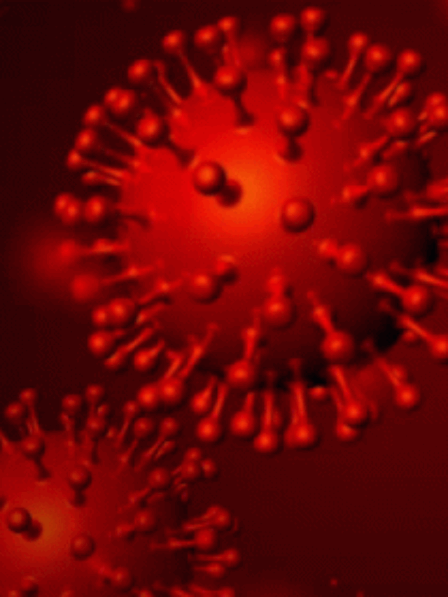 coronavirus
