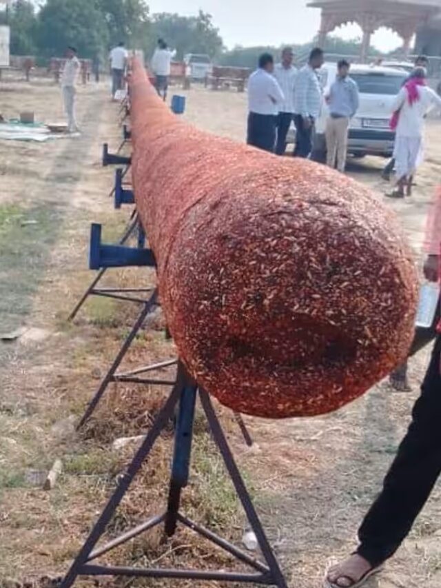 108-feet-long-agarbatti-made-in-gujarat-for-ayodhya-ram-temple .