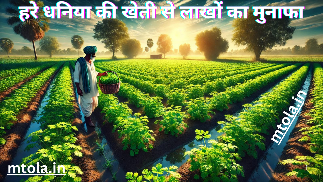 हरे धनिया की खेती से लाखों का मुनाफा