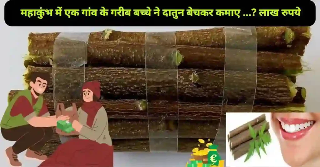 Datun Seller in Prayagraj Mahakumbh 2025: दातुन को बेच कर एक किसान के बेटे ने की लाखो की कमाई जानकर रह जाएंगे हैरान 1 महाकुंभ में एक गांव के गरीब बच्चे ने दातुन बेचकर कमाए ...? लाख रुपये