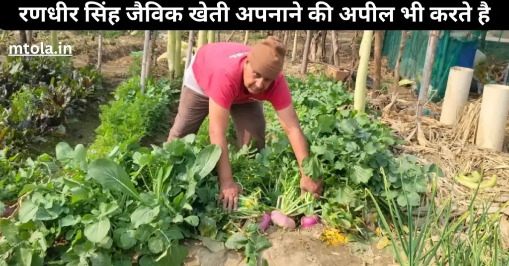 ऑर्गेनिक खेती का कमाल: रणधीर सिंह ने उगाई 6 फीट लंबी लौकी और भारी लहसुन भी उगाई और 35 से ज्यादा सब्जी भी उगाते हैं 3 ezgif 6cd6caa4eb0db7 1