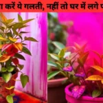 होली में कभी ना करें ये गलती, नहीं तो घर में लगे पौधे जाएंगे सूख......