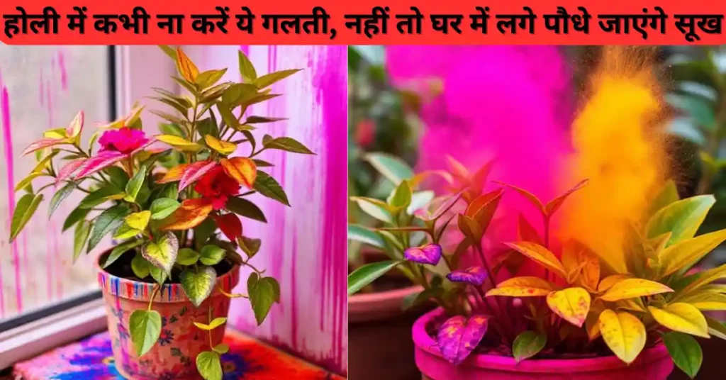 होली में कभी ना करें ये गलती, नहीं तो घर में लगे पौधे जाएंगे सूख, जानिए रंगों से पौधे को बचाने की टिप्स 1 होली में कभी ना करें ये गलती नहीं तो घर में लगे पौधे जाएंगे सूख