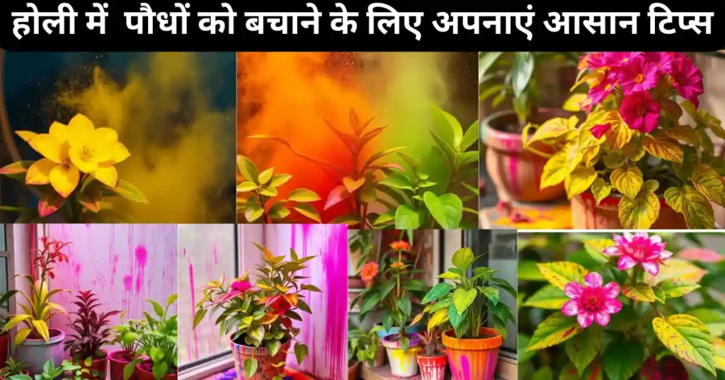 होली में कभी ना करें ये गलती, नहीं तो घर में लगे पौधे जाएंगे सूख, जानिए रंगों से पौधे को बचाने की टिप्स 3 होली में पौधों को बचाने के लिए अपनाएं आसान टिप्स